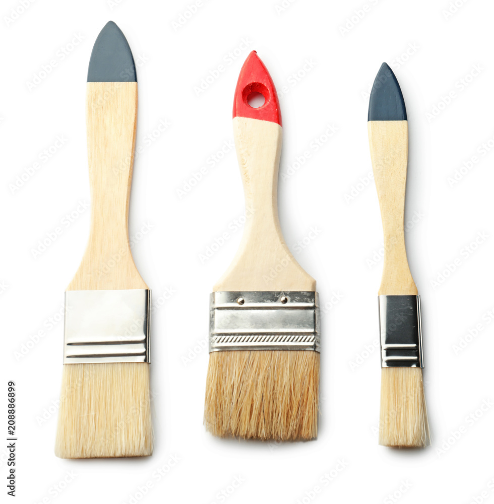 Paint brushes on white background