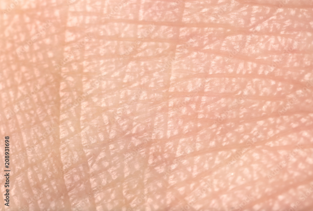 Texture of human skin, closeup