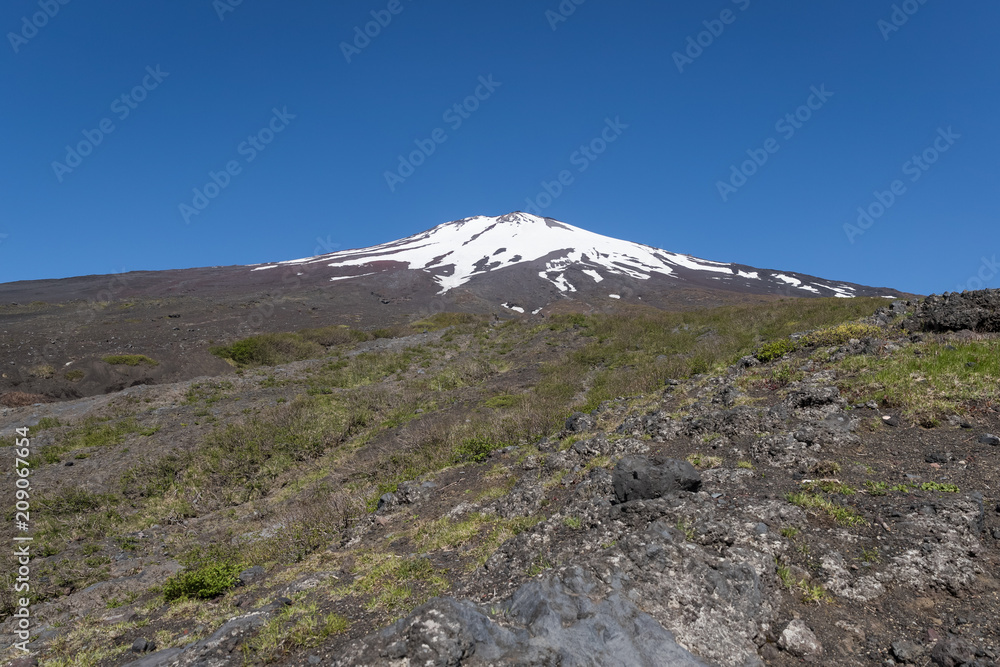 富士山山顶的雪和富士山天然休闲林步道的春天