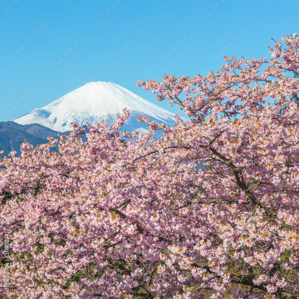 春日的川祖萨卡拉和富士山