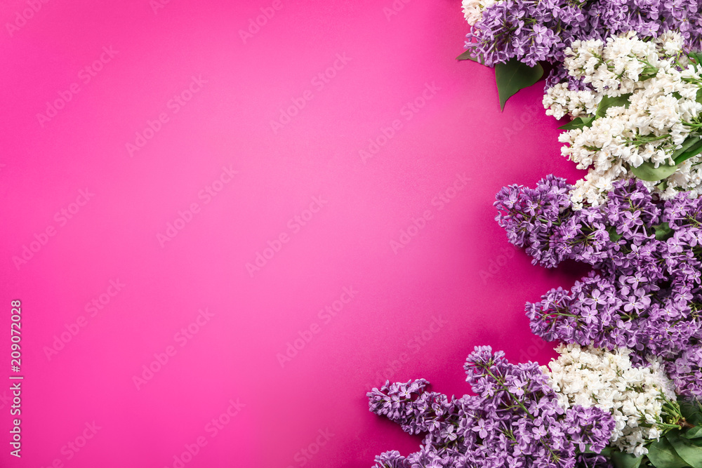 Beautiful blossoming lilac on color background