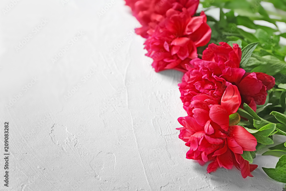 Beautiful peony flowers on light background