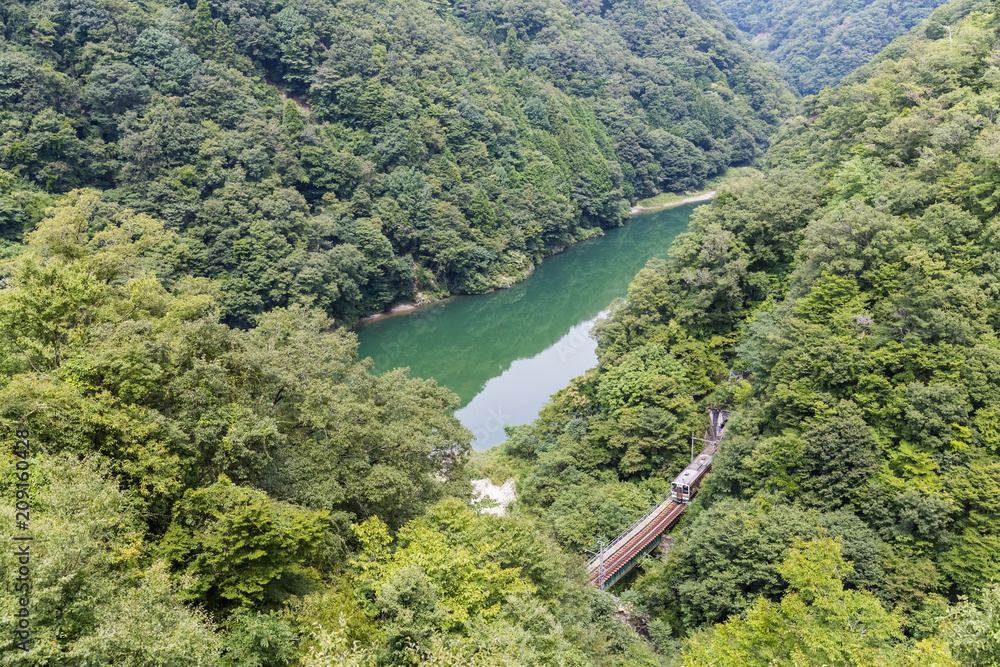 利达线和青山在夏季