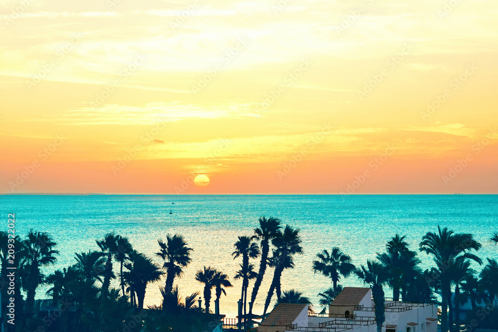 Luxurious tropical beach landscape. Silhouettes of palm trees against sky at sunset or dawn. Resort 