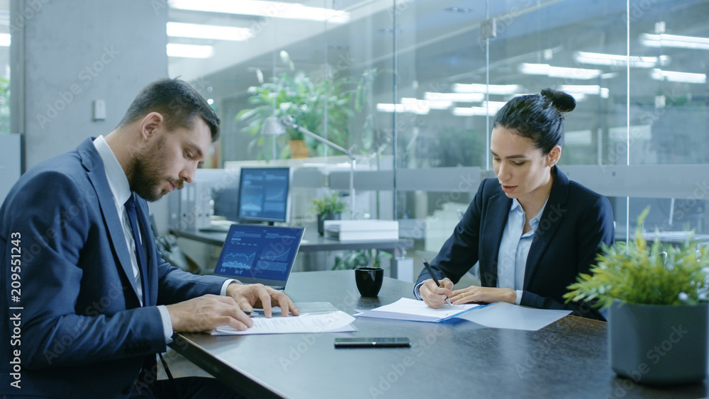 Businesswoman and Businessman Have Conversation. Draw up a Contract, Sign Documents, Seal the Deal, 