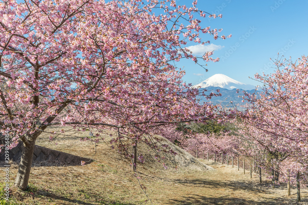 春日的川祖萨卡拉和富士山