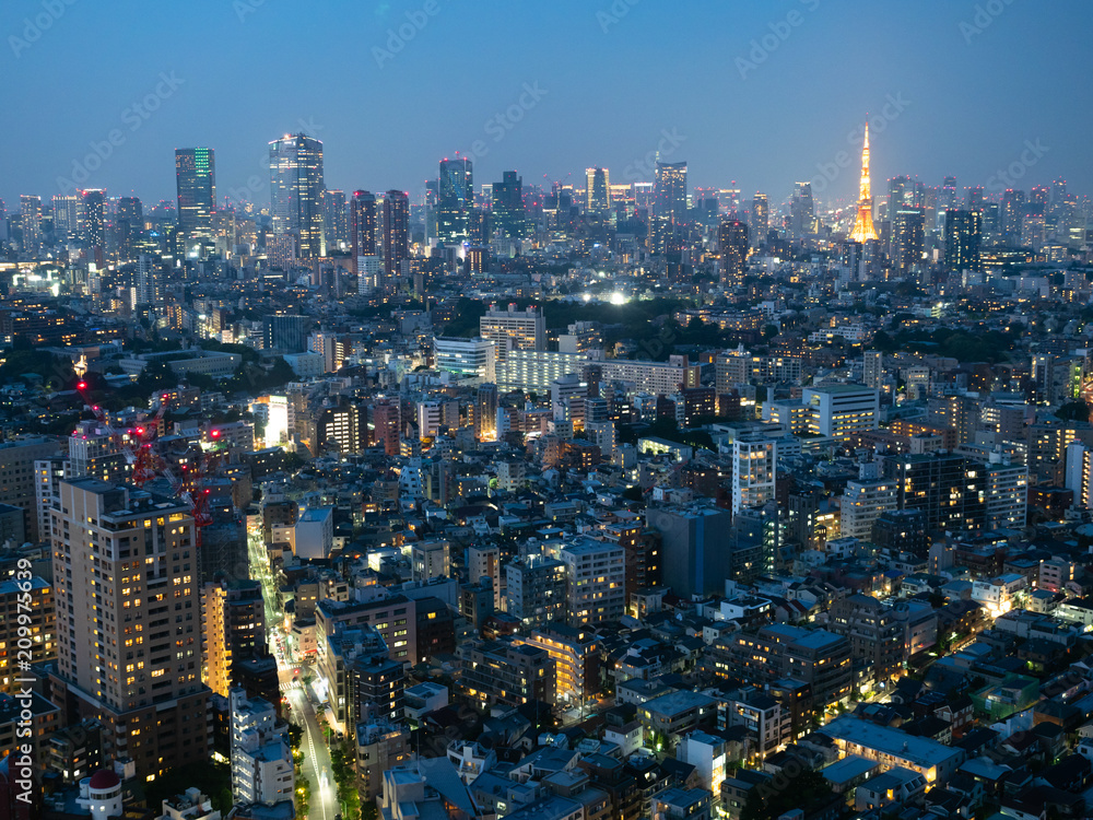 東京の夜景