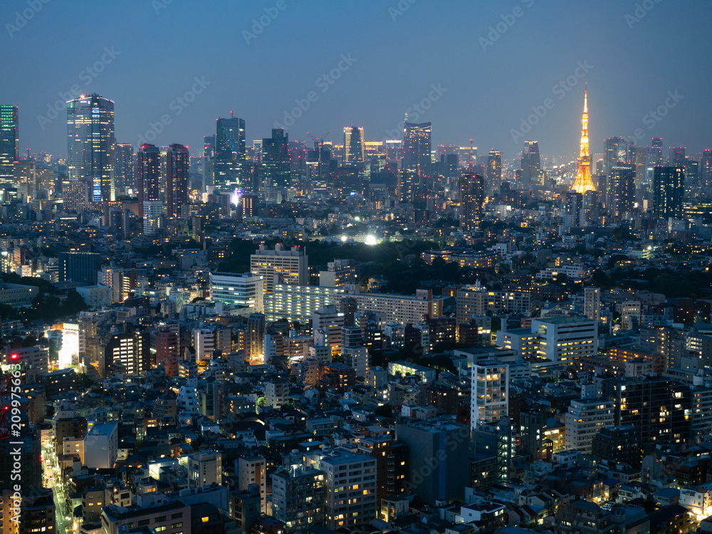 東京の夜景