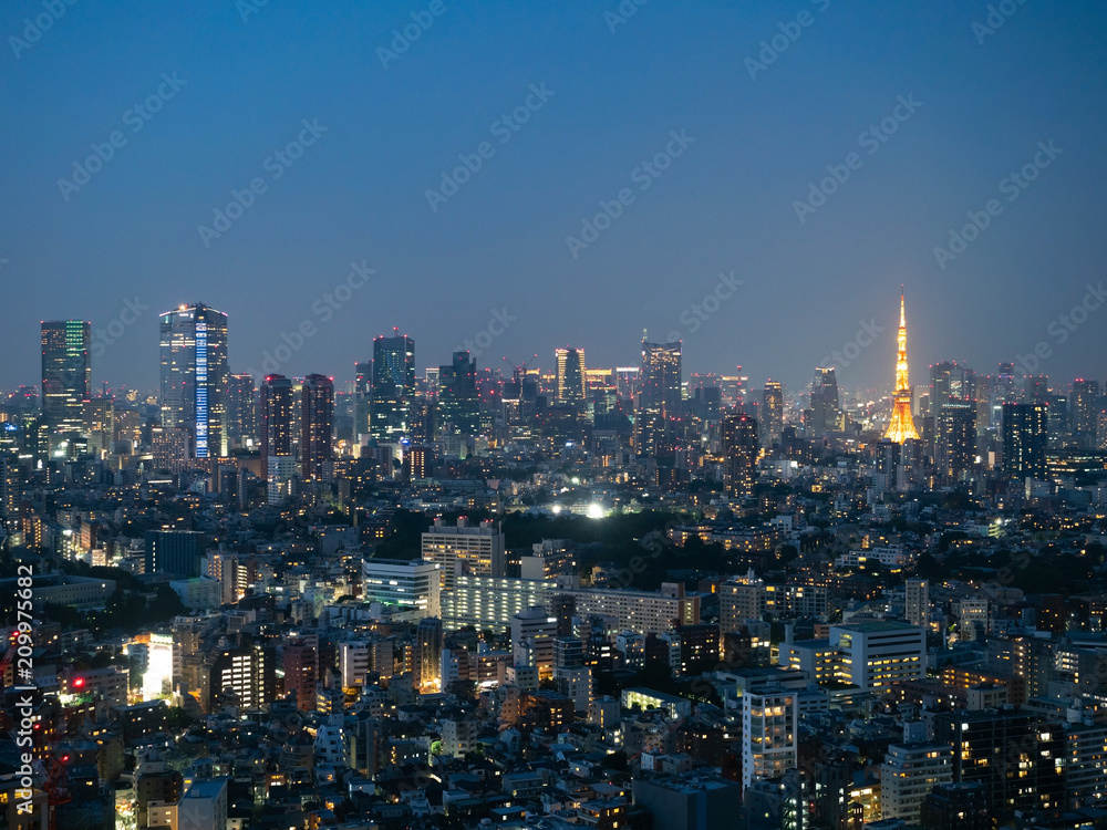 東京の夜景