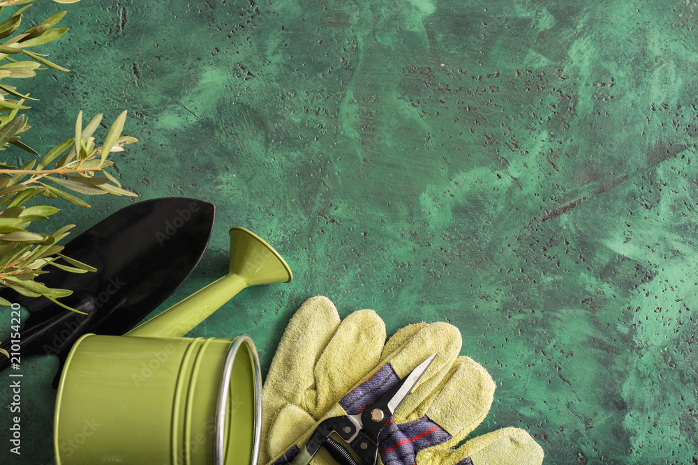 Green plant and gardening tools on color textured background