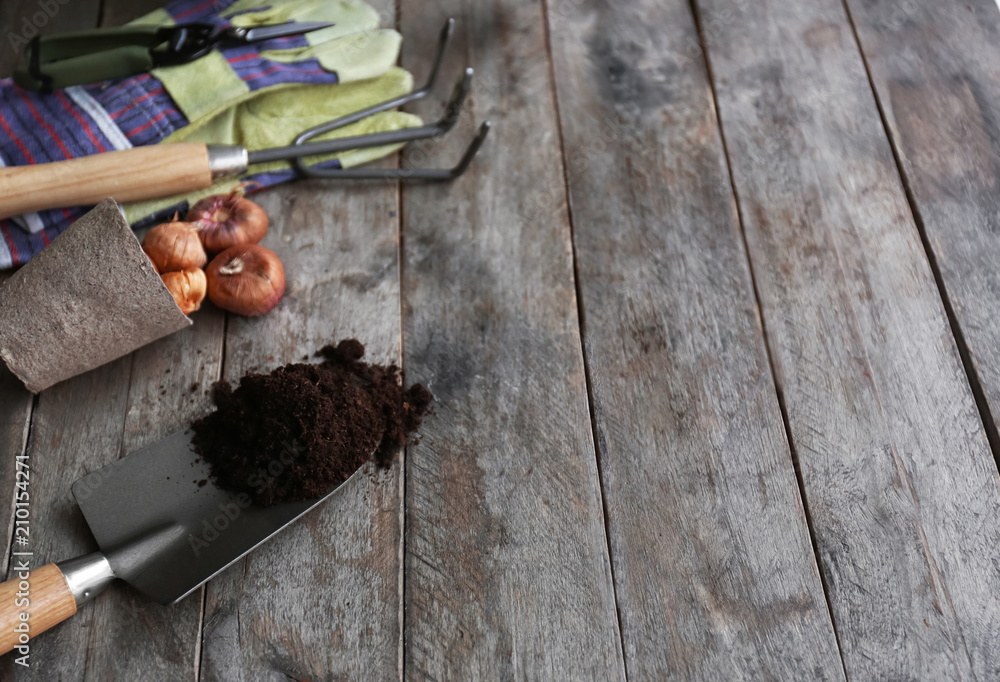 Shovel with soil for gardening and equipment on wooden background