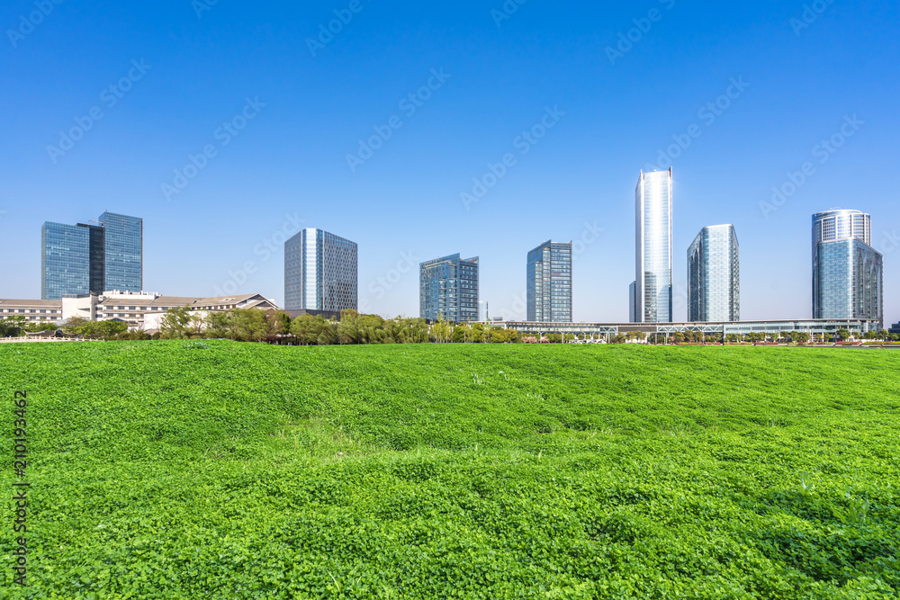 green lawn with city skyline