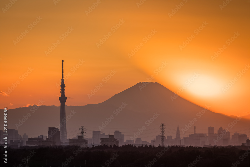 。东京富士钻石与东京天树地标。钻石富士是落日余晖的景色。