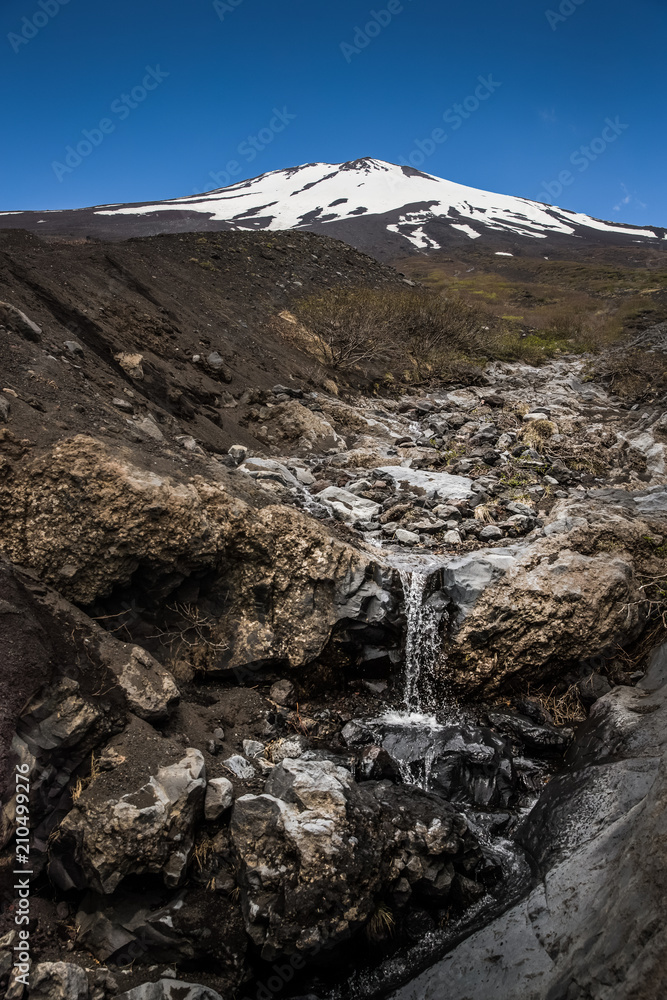 富士山之巅，雪与春天的富士山自然休闲森林步道