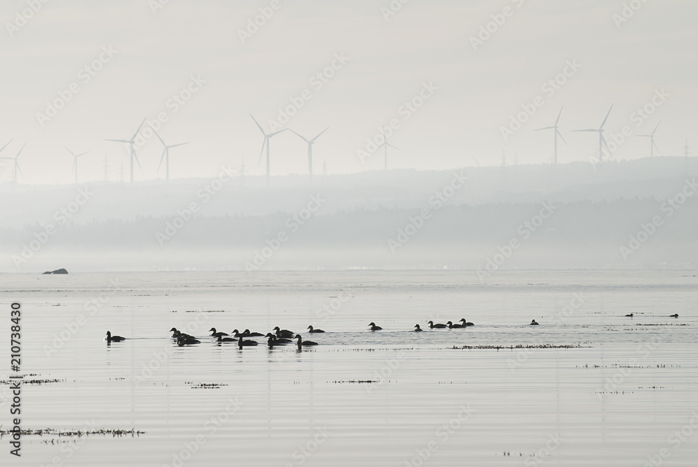 éolienne dans le brouillard