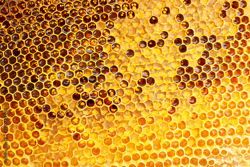 Yellow Honeycomb closeup background