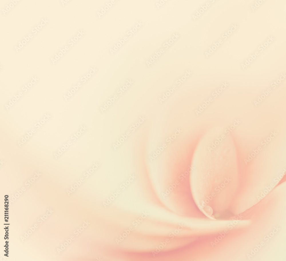 Soft beige floral background