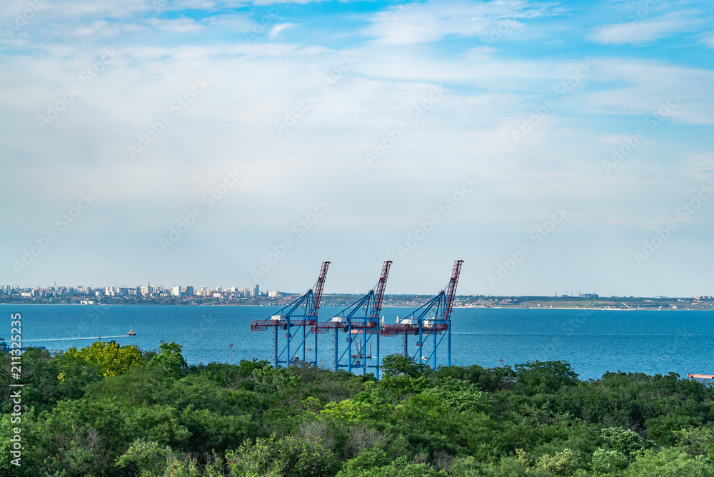 在一个空港口里没有工作的起重机。海景