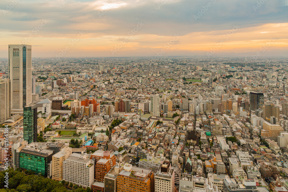 新宿高層ビルから見る東京の夜景