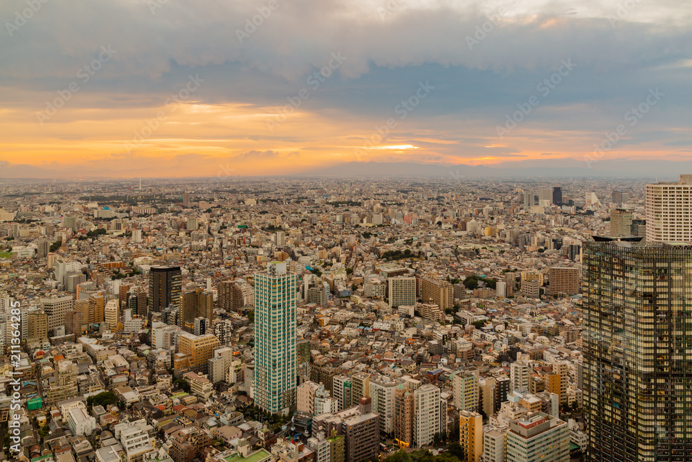 新宿高層ビルから見る東京の夜景