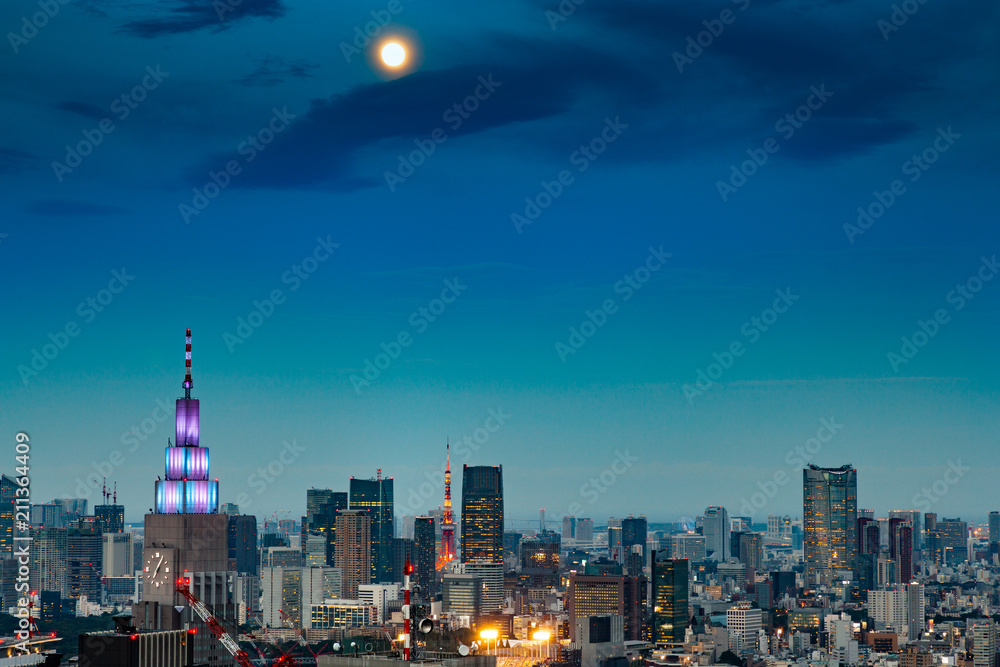 新宿高層ビルから見る東京の夜景