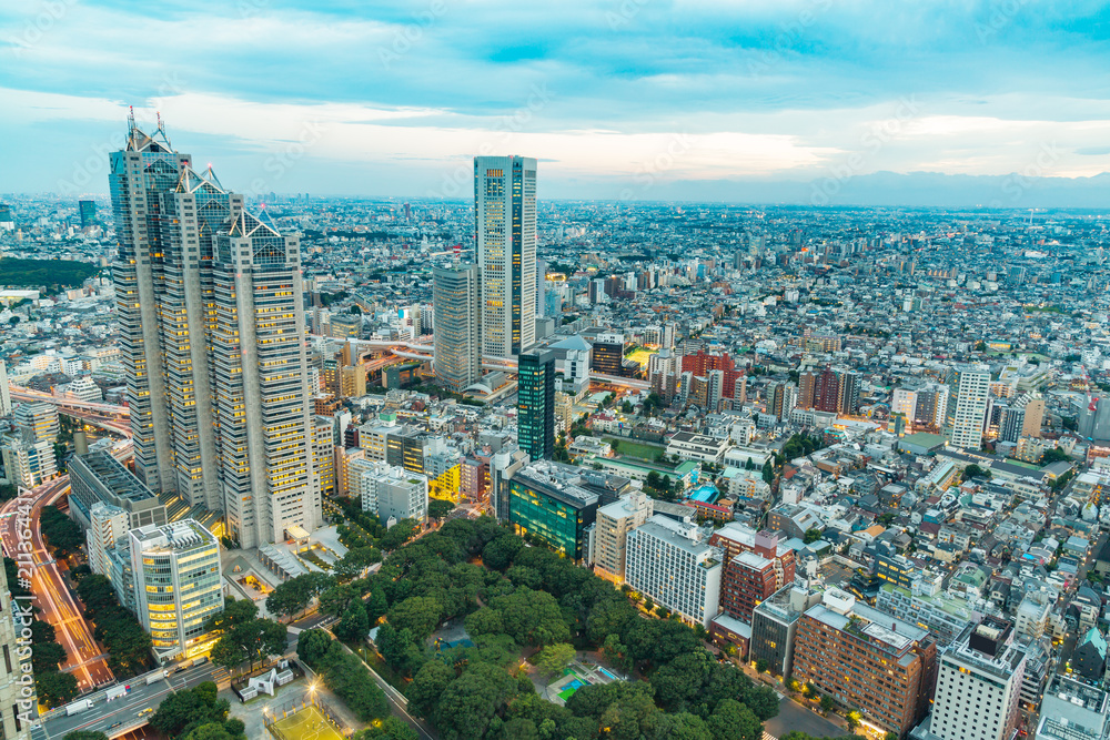 新宿高層ビルから見る東京の夜景