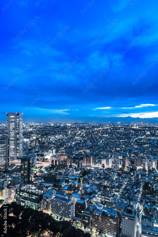 新宿高層ビルから見る東京の夜景