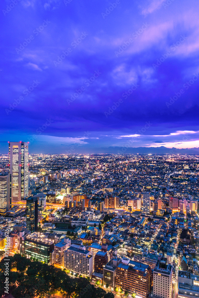 新宿高層ビルから見る東京の夜景