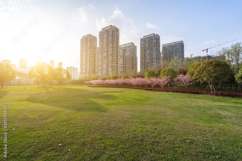 带公园的城市天际线