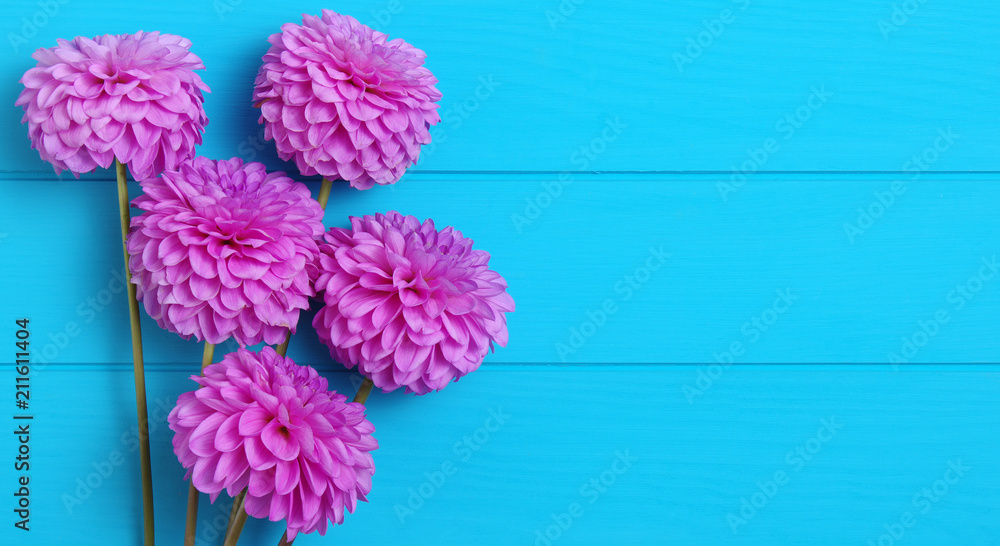  Flowers on blue painted wooden planks.