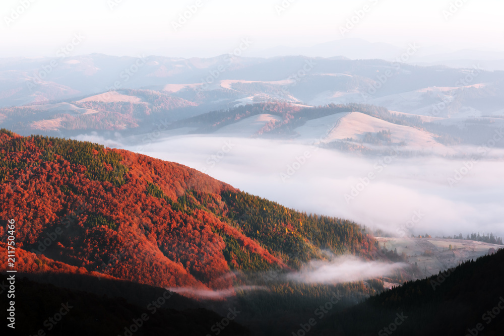 奇妙的秋季景观，山脉上有橙色森林。欧洲喀尔巴阡山