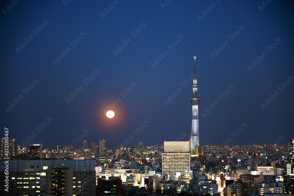 東京　夜景