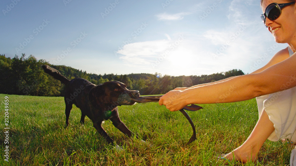 镜头闪光：可爱的边境牧羊犬和它微笑的女主人在外面玩耍。