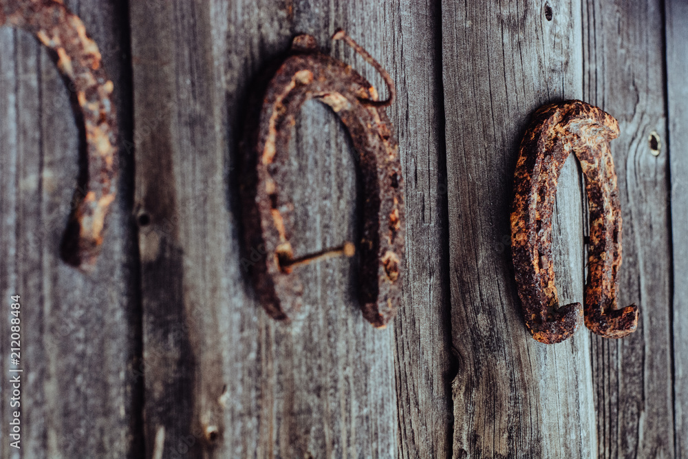 Horseshoe. Rusty texture horseshoe in beautiful light. The natural environment. Horseshoe for horses