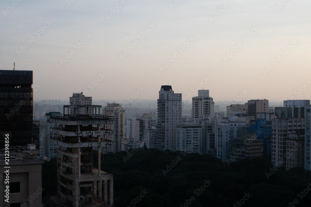 São Paulo Skylines