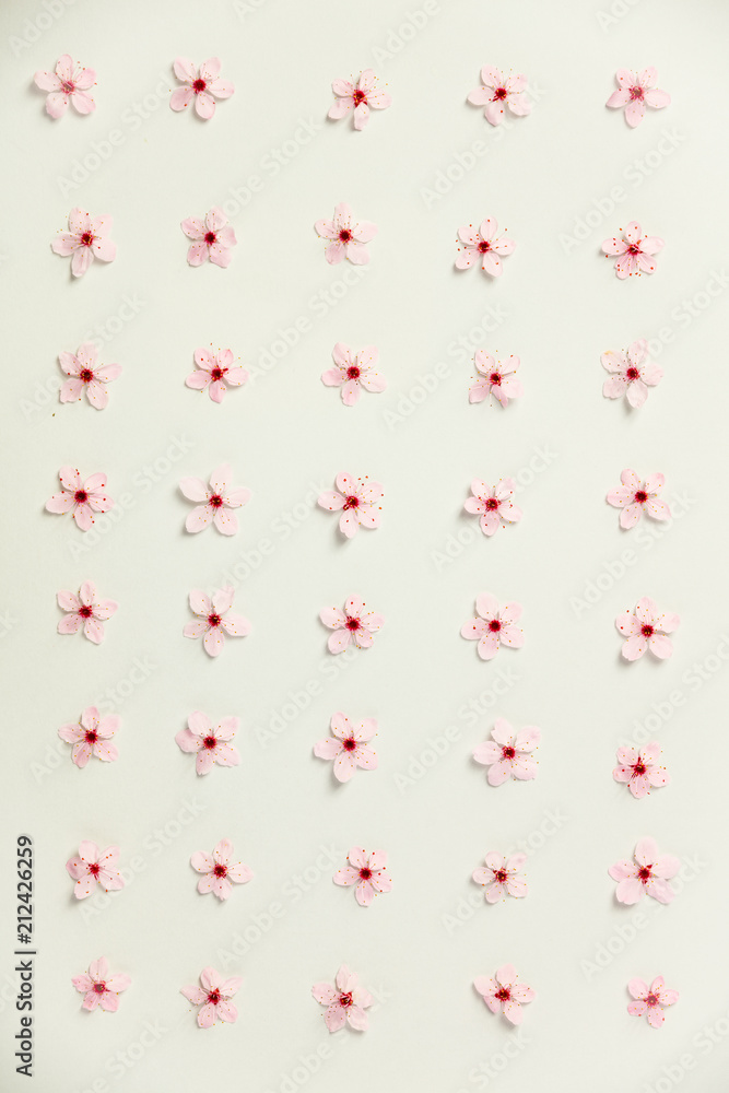 Floral pattern of cherry flowers