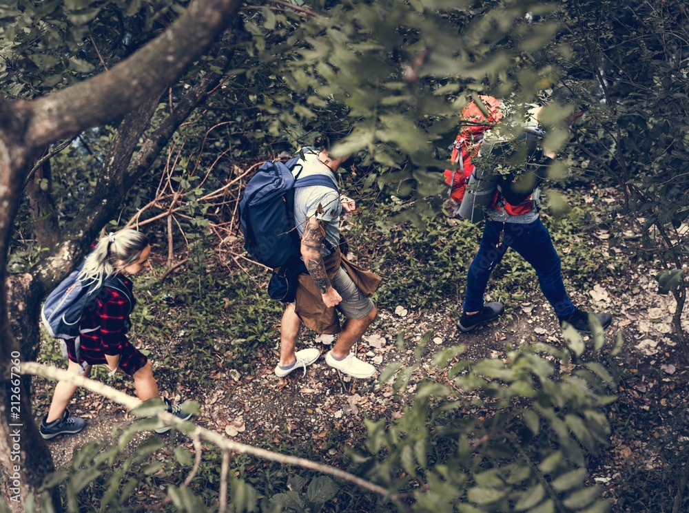 Trekking in a forest