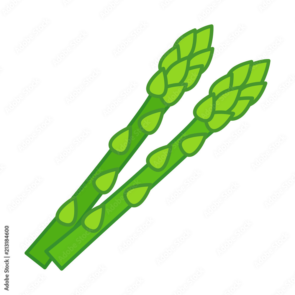 Two garden asparagus or sparrow grass flat green vector icon for vegetable apps and websites