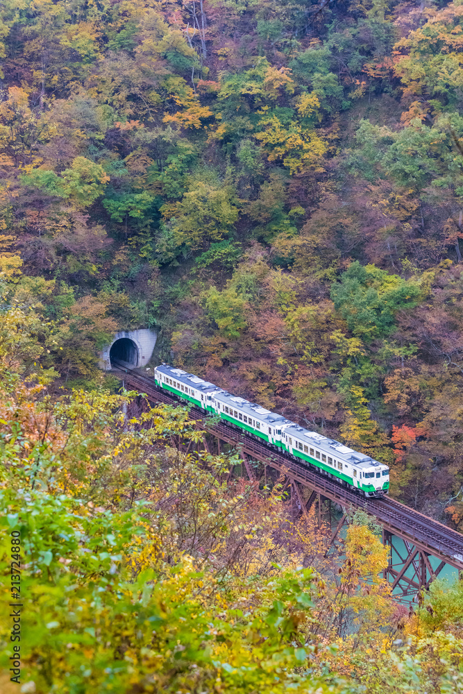 秋季福岛三岛町的田见线