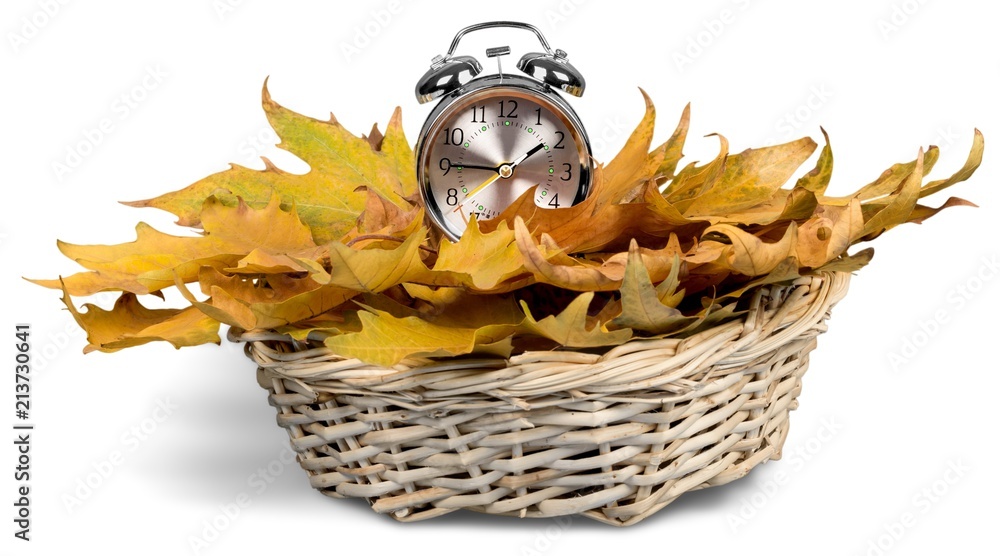 Alarm Clock on Leaves