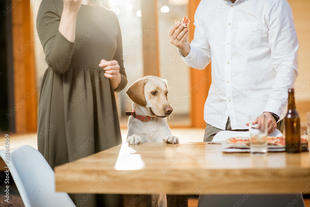 Cute dog dining with couple at the table near the house during the evening light outdoors