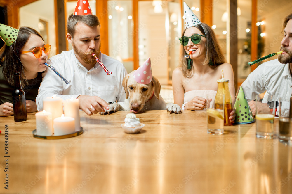 Friends celebrating dogs birthday with cake at the table on the backyard of the house in the evenin