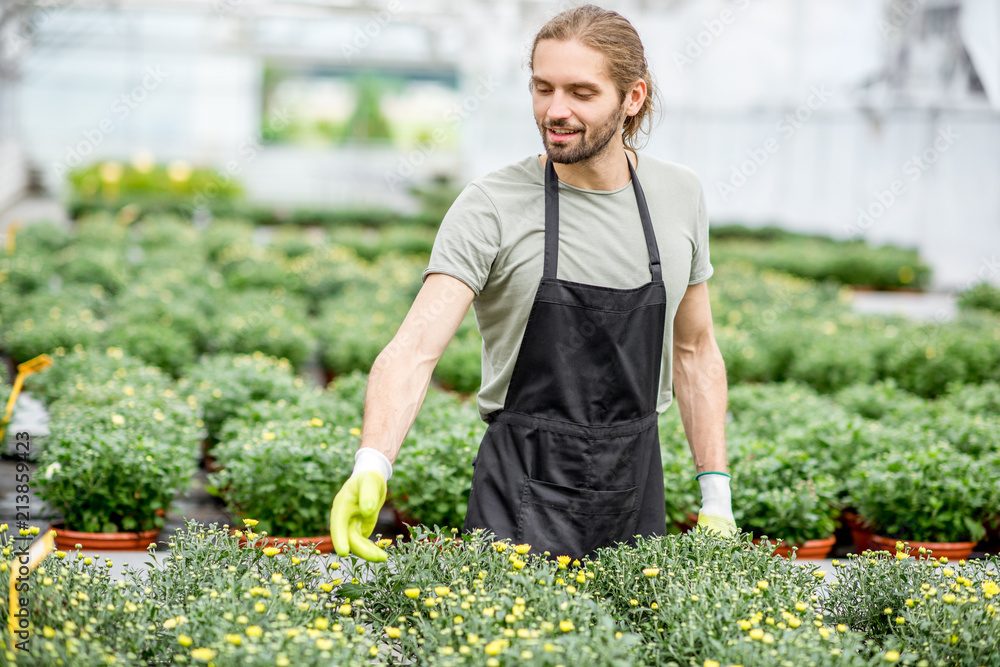 穿着制服的英俊工人在温室里照顾花朵