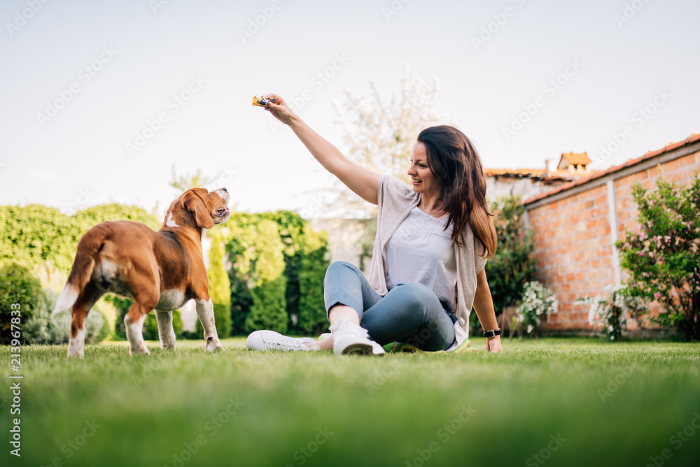 可爱的年轻女子在后院与她的比格犬玩耍。