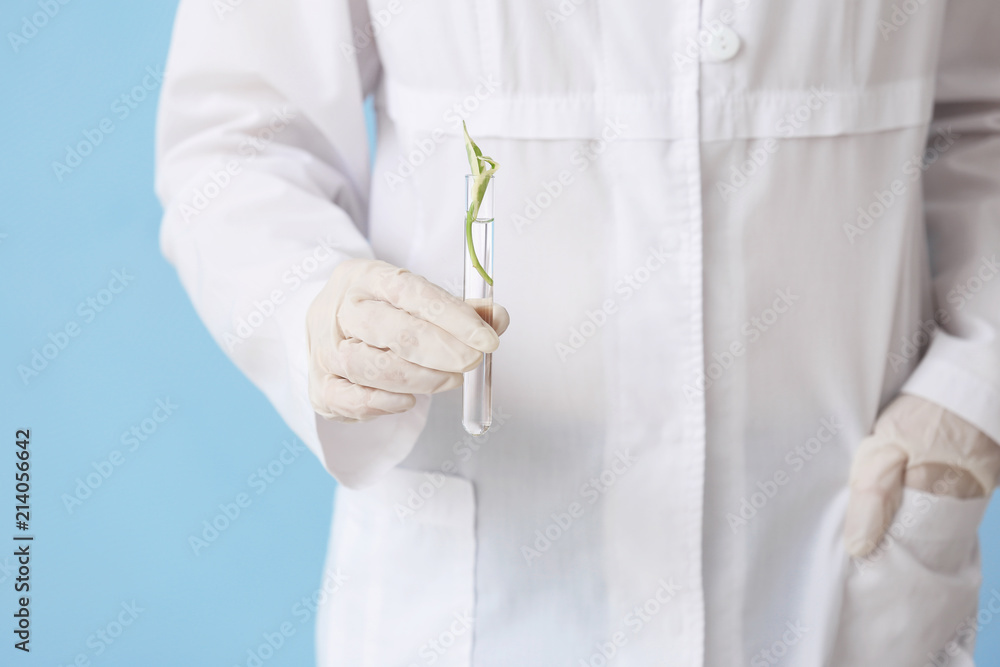 Scientist holding test tube with plant on color background