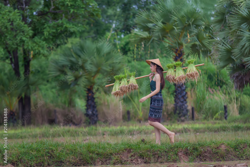 女农民在雨季种植水稻。