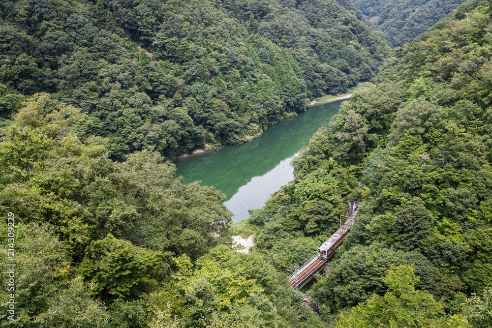 利达线与青山避暑