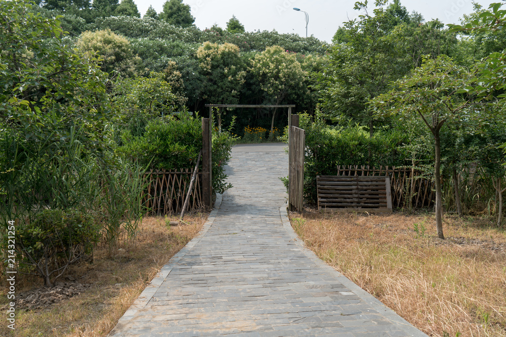 农业花园的乡村景观