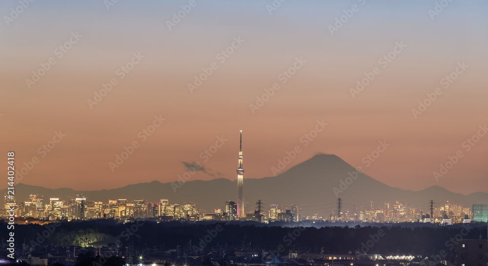 东京夜景，东京天树地标，东京市中心建筑区和胜利的富士山