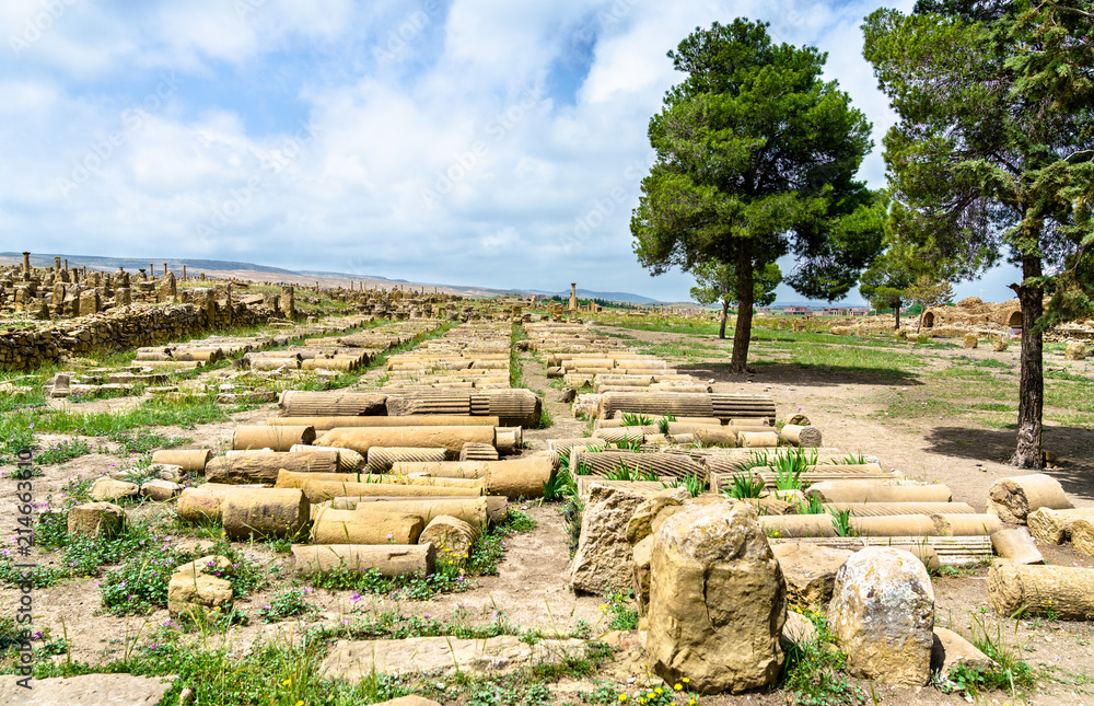 Timgad，阿尔及利亚一座罗马柏柏尔人城市的废墟。